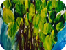 indaco dalle tele del cielo acrilico su tela 95x160 cm 2014