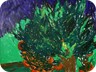 l’albero dietro la luna -2009- olio e tecnica mista su tela (100x100 cm)