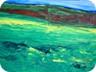 senza titolo - 2008 - olio e tecnica mista su tela (150x95 cm)